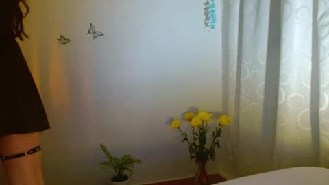 porcelainlux online show from January 22, 4:13 am