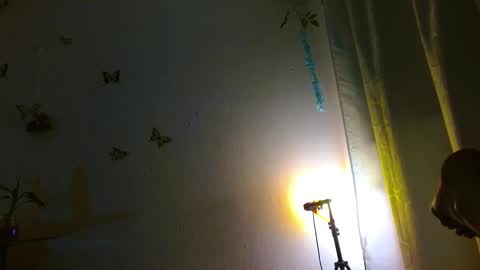 porcelainlux online show from January 18, 7:59 am