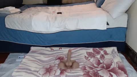 Cindy online show from June 17, 8:04 am