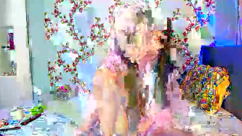 Alisa online show from October 7, 8:19 am