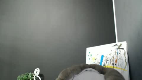 Rosalina online show from November 24, 2:30 pm