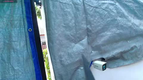 Rosy Shy online show from April 3, 5:49 am