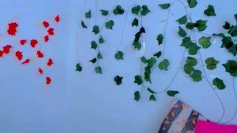 SABRI online show from February 21, 10:26 pm