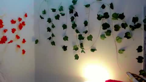 SABRI online show from January 28, 12:11 pm