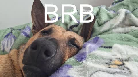 Sabrina  online show from March 11, 3:00 am