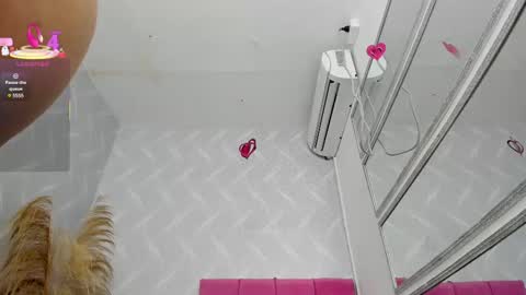 SAM  online show from March 6, 12:30 pm