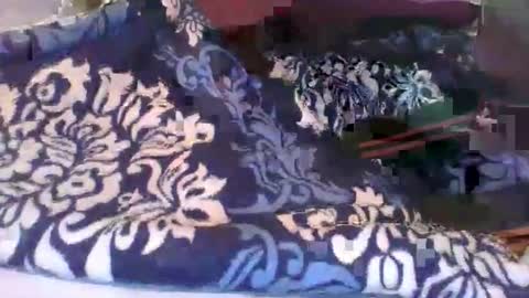 Snapshot of sarah_haggai chatting on October 14, 7:55 am sarah_haggai online show from October 14, 7:55 am