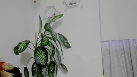 Saray  online show from February 5, 11:30 pm