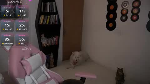 Snapshot of saucy_jenn1 chatting on September 16, 4:53 am I AM JENN  online show from September 16, 4:53 am