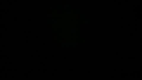 kitty online show from November 4, 1:43 am