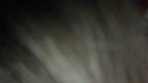 Sunny online show from December 20, 7:01 am