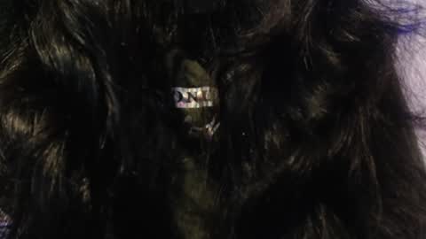    online show from January 15, 3:33 am