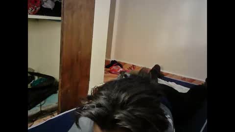 Luna online show from February 18, 4:55 am