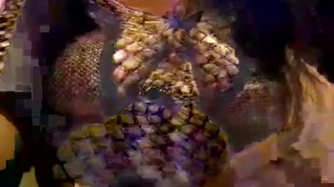 Forever Erotica online show from November 8, 11:10 pm