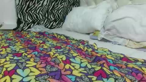 sharlot03 online show from January 28, 11:49 am