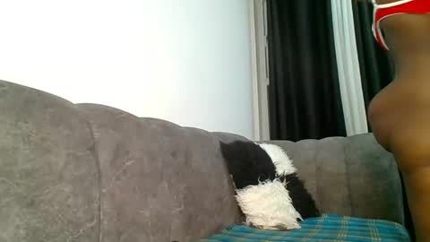 shi assy online show from September 24, 11:15 pm