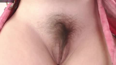 lamai online show from February 17, 2:42 am