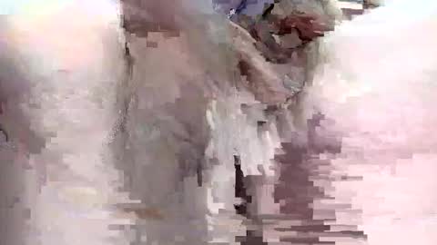 sigmaelixer online show from September 29, 9:09 pm