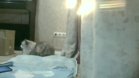 siren_voise online show from March 17, 2:43 pm