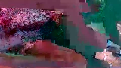 Skyn Like Henny online show from November 14, 8:36 am