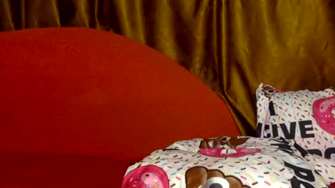 Noname online show from July 28, 7:39 pm