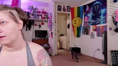 Big Dawg online show from November 16, 12:56 am