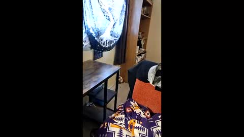 sologirl81 online show from March 30, 5:45 pm