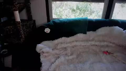 AmberSpanks online show from June 12, 11:57 pm