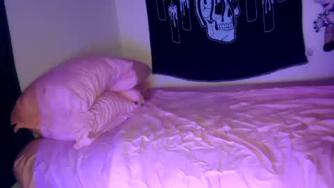 Snapshot of stoned2dabones666 chatting on December 17, 10:44 am Haily online show from December 17, 10:44 am