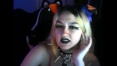 Stray online show from July 7, 3:42 am