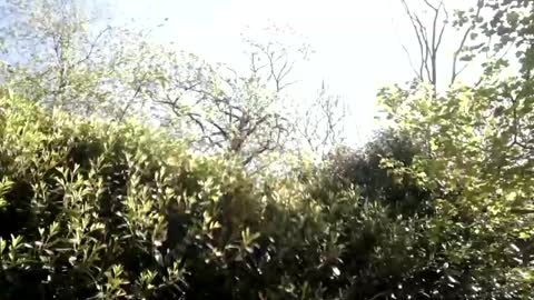 sucrette5629 online show from April 25, 1:14 pm