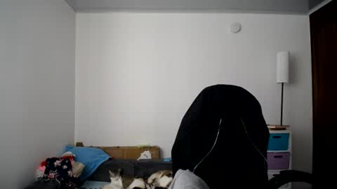 Susana online show from July 4, 3:19 pm