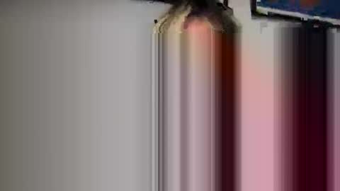 susan online show from May 5, 1:41 am