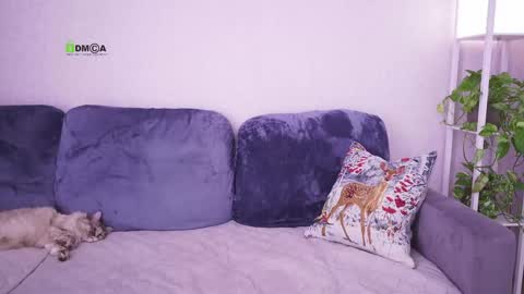 Vicktorious online show from February 24, 8:15 am