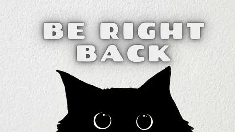 Rousaly online show from February 10, 11:13 am