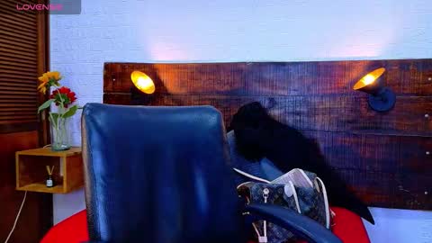    online show from December 19, 11:57 am