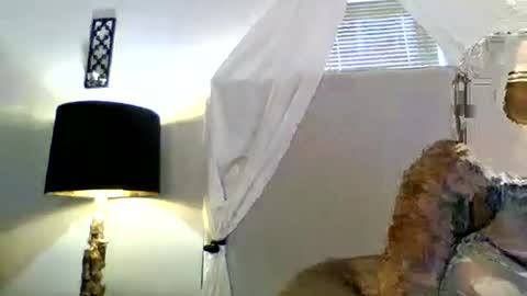 Tammygold online show from June 23, 7:23 pm