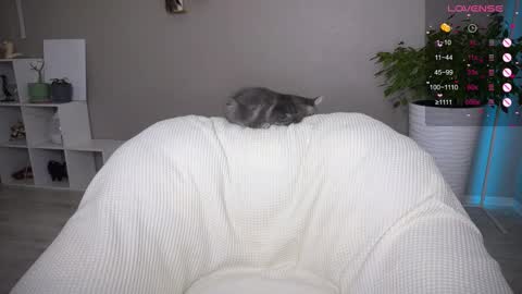 Tanya acid       online show from September 21, 6:34 am