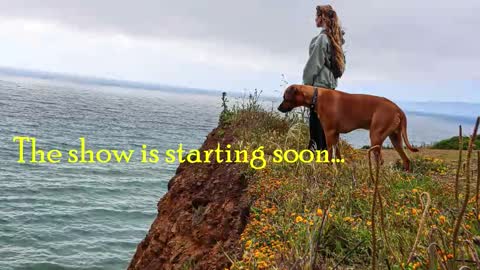 TATUM  ALL MY LINKS  online show from February 23, 1:50 am