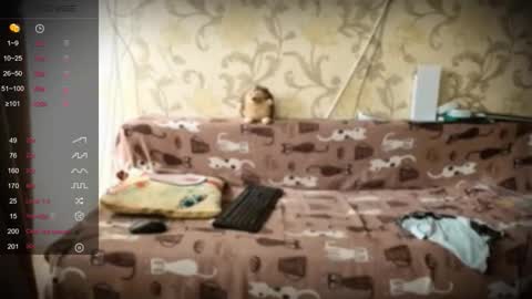 Ada  online show from January 10, 1:16 pm