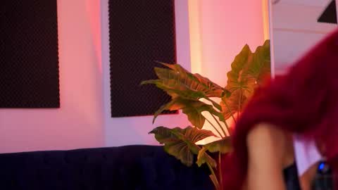 Tiff online show from February 22, 4:13 am