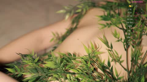 Toshi online show from February 23, 1:02 pm