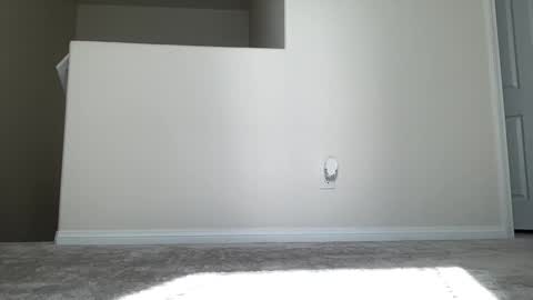 ASH online show from October 26, 6:47 pm