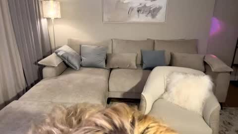 Dolly online show from April 29, 8:25 pm