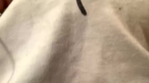 unknownkay online show from November 1, 6:39 am