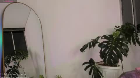    online show from August 1, 1:29 am