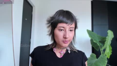 Babi Alu online show from December 15, 5:51 pm