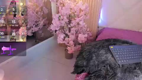 veronica_hill_ online show from June 18, 3:19 am