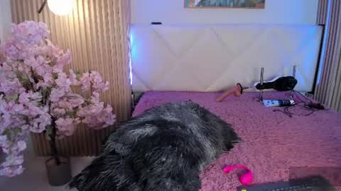 veronica_hill_ online show from July 29, 3:17 am