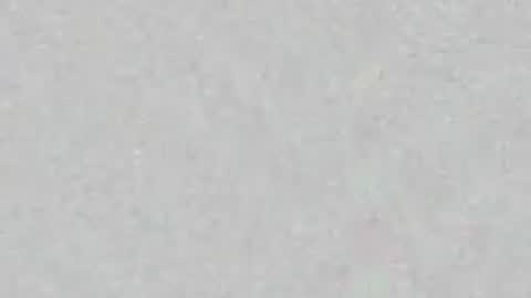 Vero  online show from July 23, 8:17 pm